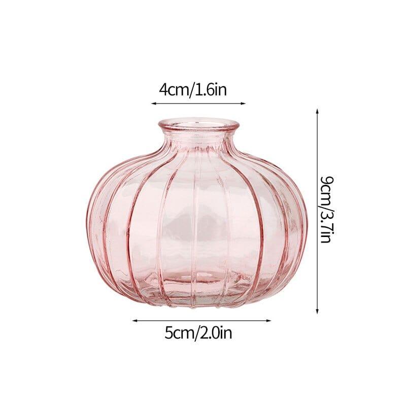 Shop 0 Glass Vase S21 Transparent Glass Vases for Plant Bottle Nordic Flower Vase Hydroponic Terrarium Container Flower Table Pot ваза для цветов Mademoiselle Home Decor