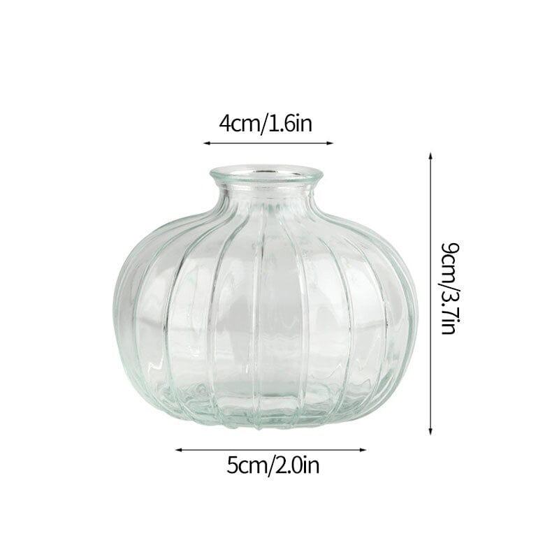 Shop 0 Glass Vase S20 Transparent Glass Vases for Plant Bottle Nordic Flower Vase Hydroponic Terrarium Container Flower Table Pot ваза для цветов Mademoiselle Home Decor