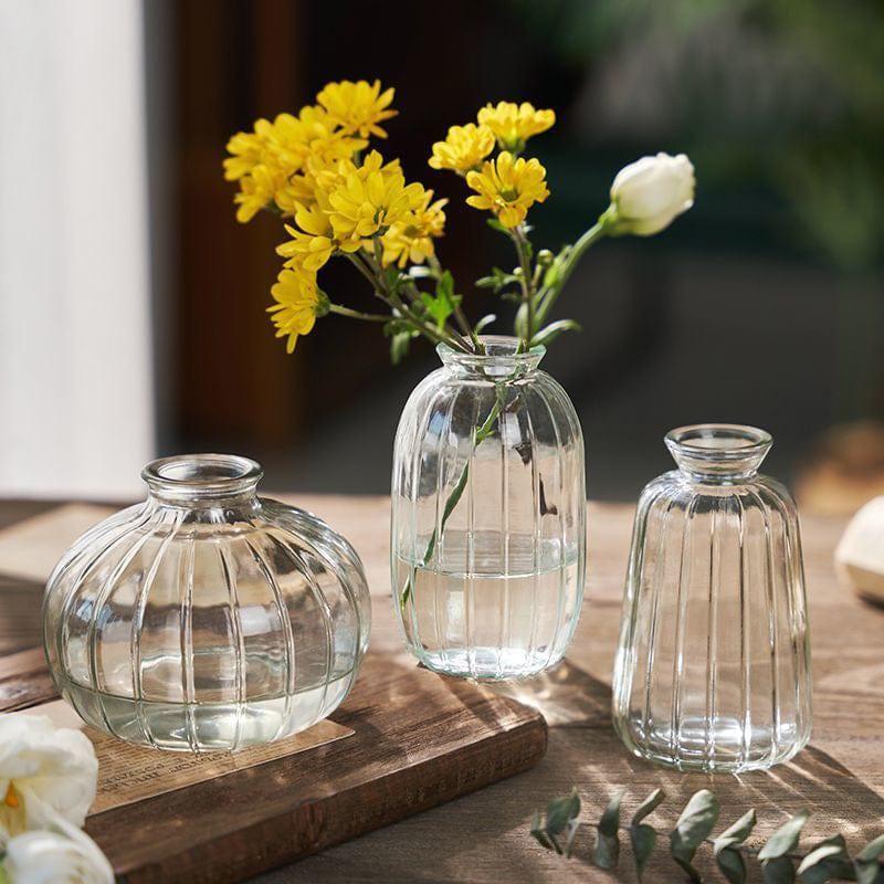Shop 0 Transparent Glass Vases for Plant Bottle Nordic Flower Vase Hydroponic Terrarium Container Flower Table Pot ваза для цветов Mademoiselle Home Decor