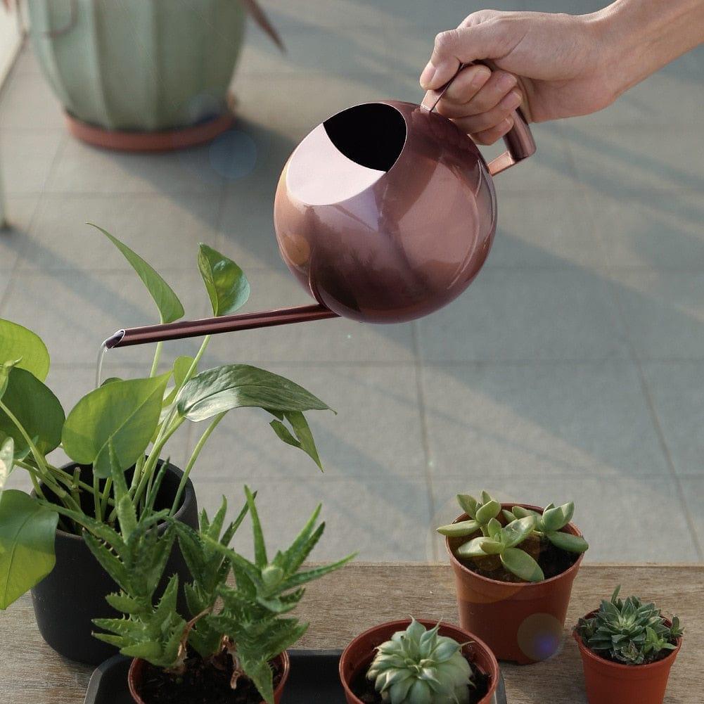 Shop 0 Seige Watering Can Mademoiselle Home Decor