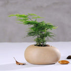 Shop 100005865 Tamari Stone Vase Mademoiselle Home Decor