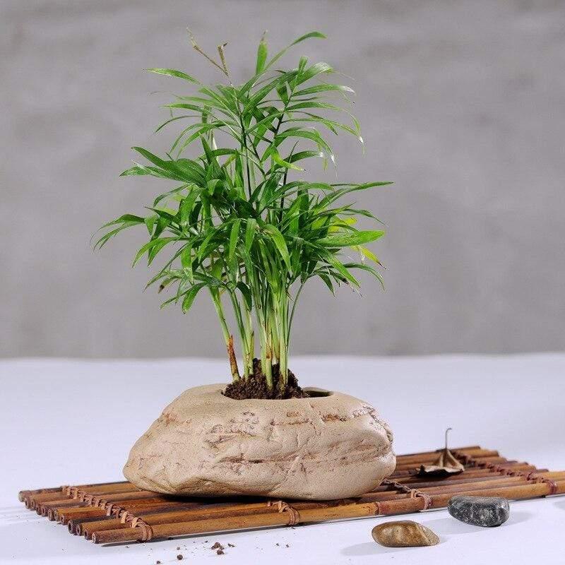 Shop 100005865 Malibu Stone Vase Mademoiselle Home Decor