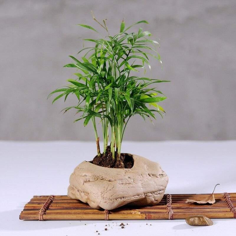Shop 100005865 Palm Stone Vase Mademoiselle Home Decor