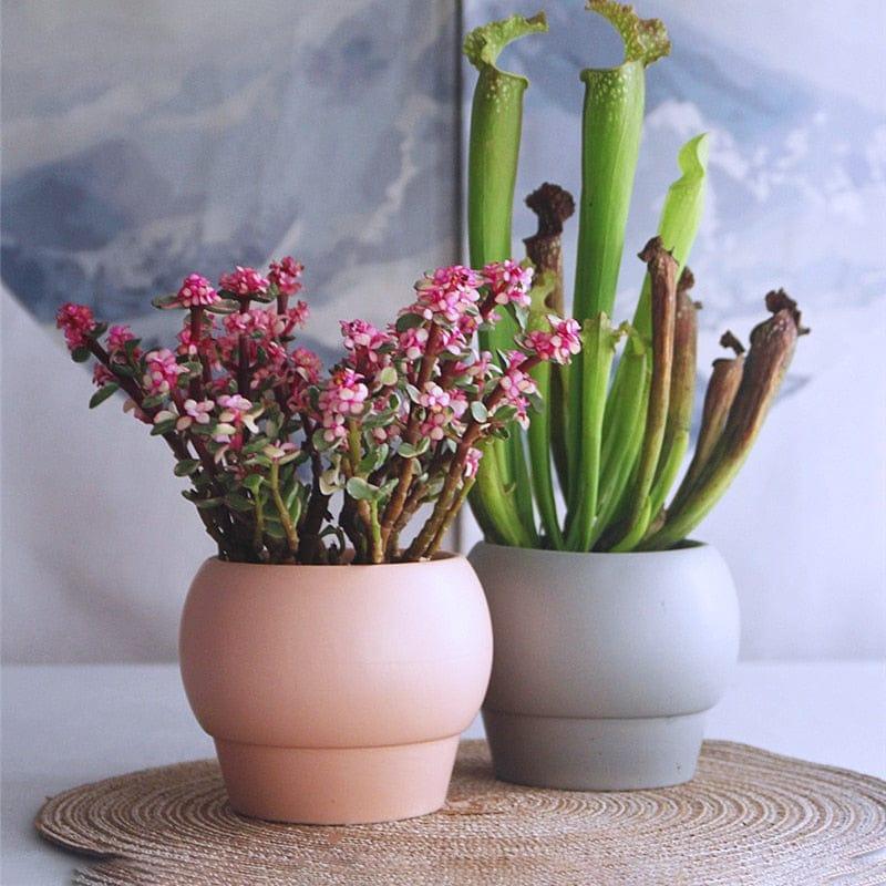 Shop 0 Syrene Vase Mademoiselle Home Decor