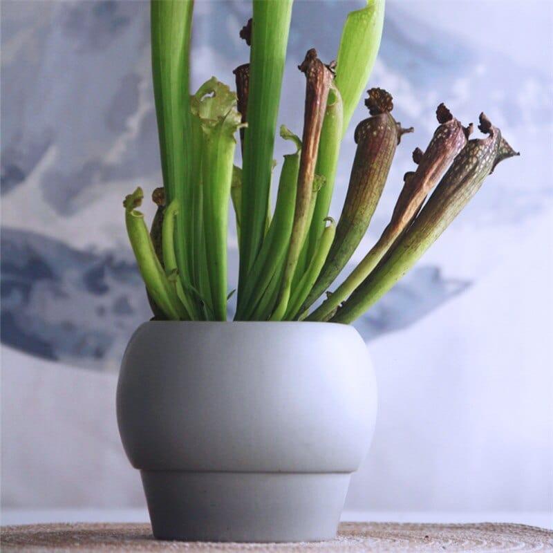 Shop 0 Nordic Ins Simple Round Ceramic Flower Pot Creative Tall Pot Small Potted Office Desktop Succulent Flower Pot Home Garden Mademoiselle Home Decor