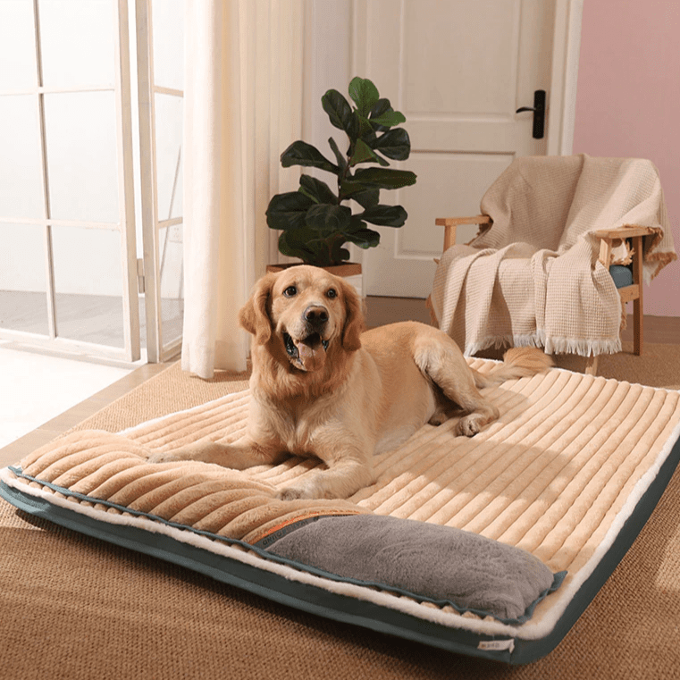 Shop 0 HOOPET VIP Dropshipping Dog Mat Comfortable Pad for Small Medium Large Dogs Cats Pet Bed S-2XL Large Dog Sleeping Bed Supplies Mademoiselle Home Decor