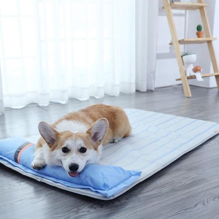Shop 0 As Picture 3 / S 45x35x4.5cm HOOPET VIP Dropshipping Dog Mat Comfortable Pad for Small Medium Large Dogs Cats Pet Bed S-2XL Large Dog Sleeping Bed Supplies Mademoiselle Home Decor